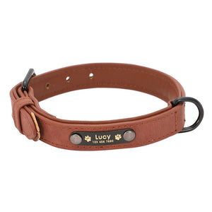 Collars For Fashion Dogs