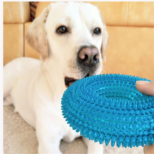 Pet Toys For  Dogs  Training. Funny ...