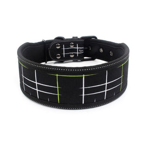 Nylon Dog Collar Adjustable Pet Collars