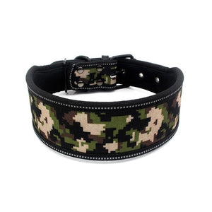 Nylon Dog Collar Adjustable Pet Collars