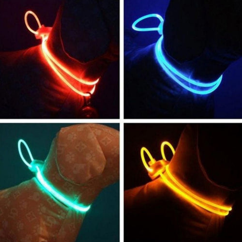 LED Dogs Collars Leads Night Lighting