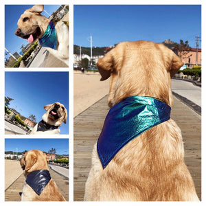 Adjustable Pet  Dog Bandanas